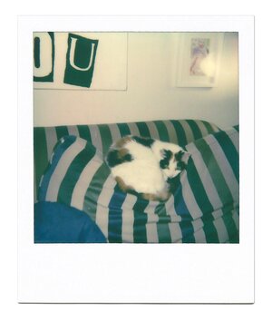 Icky In Our Apartment